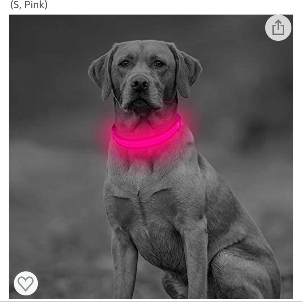 🆕 Clan-x LED Dog Collar, USB Rechargeable& Adjustable - Picture 1 of 7